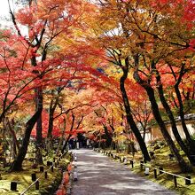 紅葉の馬場もきれい