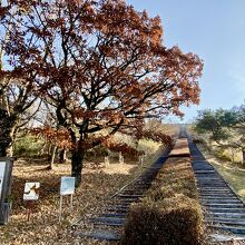 枕木階段のスタート地点