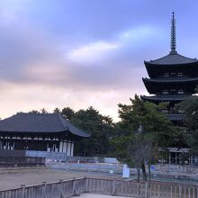 《興福寺》保存・改修中の五重塔と東金堂