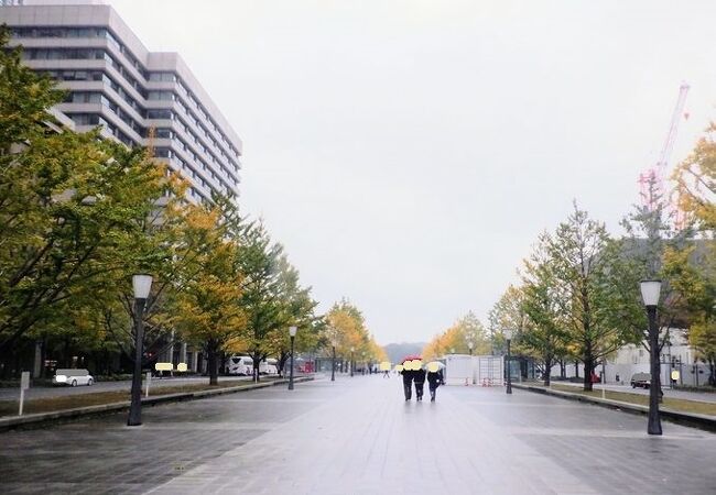 紅葉鑑賞も出来た東京駅丸の内口前の通りでした。