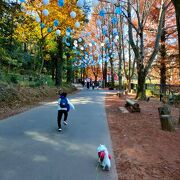 紅葉の美しさにけっこう感動