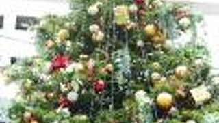 クリスマスツリーでクリスマス気分