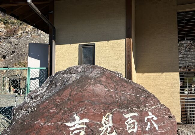 【中古】 吉見の百穴 北武蔵の横穴墓と古代氏族/ニュートンプレス/金井塚良一 吉見の百穴 北武蔵の横穴墓と古代氏族 / 金井塚良一 | 歴史