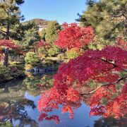 庭園の紅葉をゆったりと探勝できる　足利将軍家歴代の菩提寺