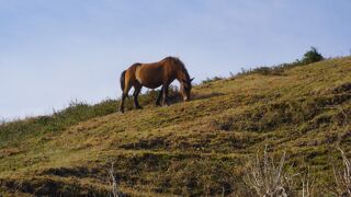 日南海岸国定公園