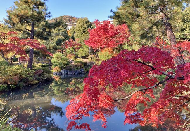 庭園の紅葉をゆったりと探勝できる　足利将軍家歴代の菩提寺