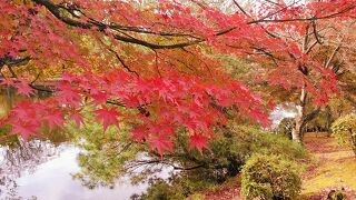 須賀川牡丹園