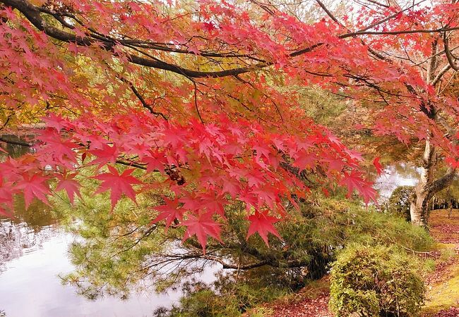 須賀川牡丹園