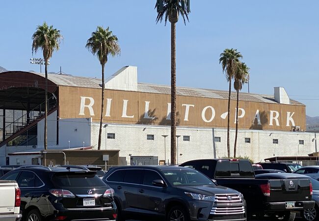 リリートパーク競馬場