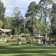 良心的な料金で楽しめる植物園