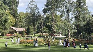 良心的な料金で楽しめる植物園