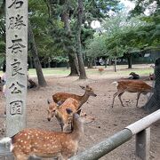 他に類例のない歴史公園