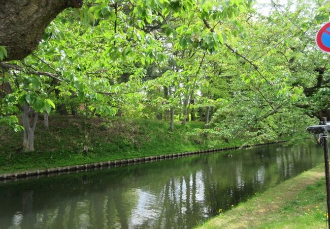 弘前城西濠と桜のトンネル