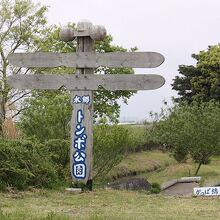 水郷トンボ公園の風景