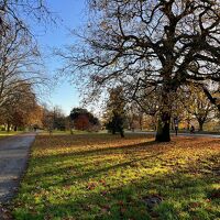 少し歩けばハイドパーク