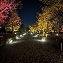 元離宮二条城、清流園。