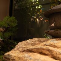 ロビーにある庭園