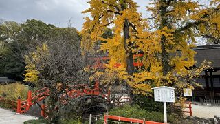 本堂の前は、絵に描いたような美しい景観