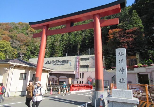 氷川神社