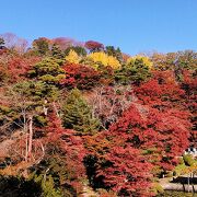 紅葉に安達太良山系の山並みも美しい二本松城