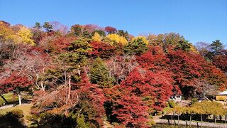 紅葉に安達太良山系の山並みも美しい二本松城