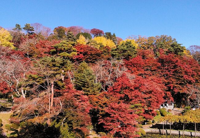 紅葉に安達太良山系の山並みも美しい二本松城