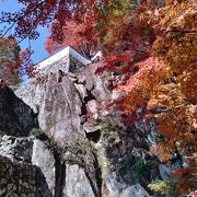 大手門跡から見る紅葉と石垣が絶景