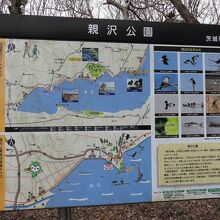親沢公園周辺の案内図