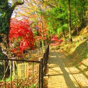 高津戸峡遊歩道