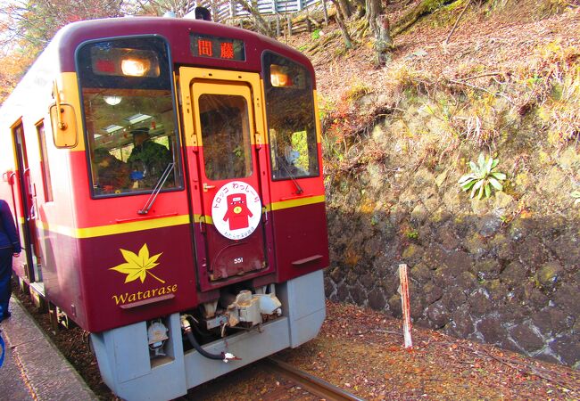 トロッコわっしー1号