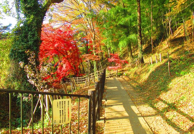 高津戸峡遊歩道