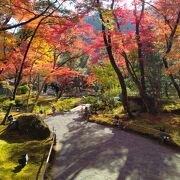 紅葉の名所庭園のお寺