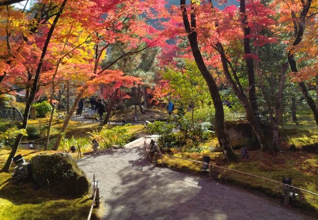 紅葉の名所庭園のお寺