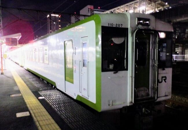 東京に近い場所でローカル線気分を味わえた路線でした。