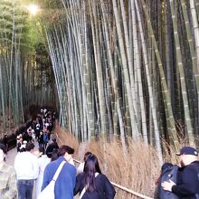 一年中観光客が押し寄せる