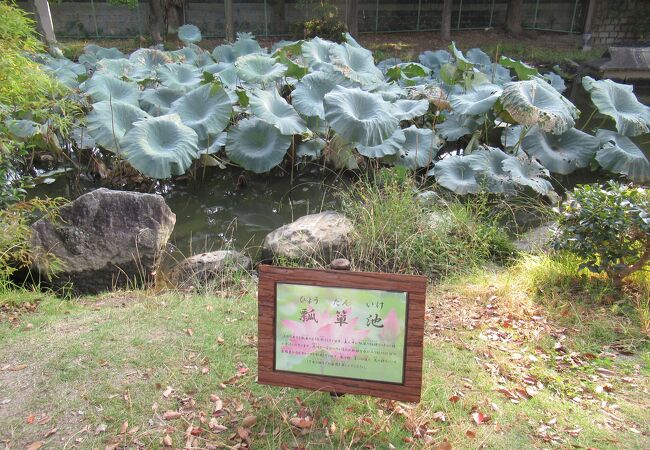 毛馬桜之宮公園