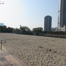 砂浜は大阪ふれあいの水辺