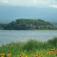 大石公園から見た鵜の島