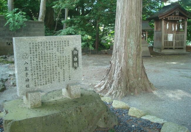 八王子神社北参道から入りました