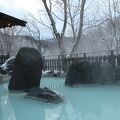 白濁の硫黄泉、日本秘湯を守る会の会員宿です