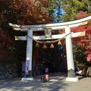 宝登山神社の紅葉がきれいでした。