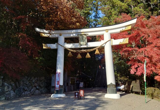 宝登山神社の紅葉がきれいでした。