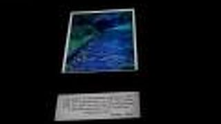 リトル バーク ストリート