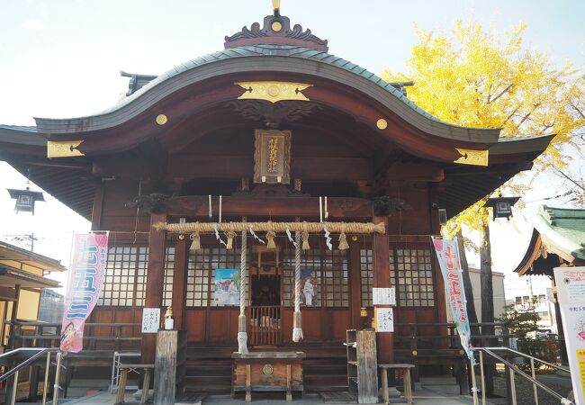 杉杜白鬚神社