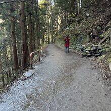 こんな風にぬかるんでいる所も有る遊歩道を片道25分歩く