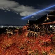 奥之院前が、紅葉の絶好の撮影スポット