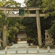 大三島・大山祇神社