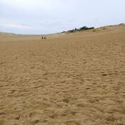 日本最大級の鳥取砂丘は大きかったです！