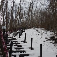 ズリ山階段 (ズリ山展望広場)