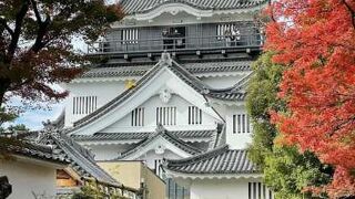 徳川家康ゆかりの城